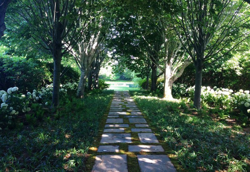 landscape-design-wooded-path