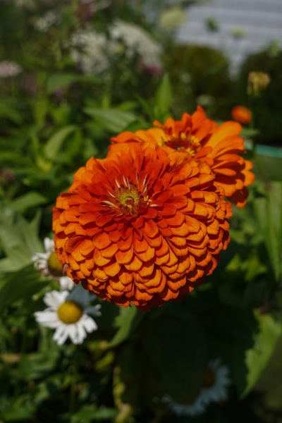 DSC01530