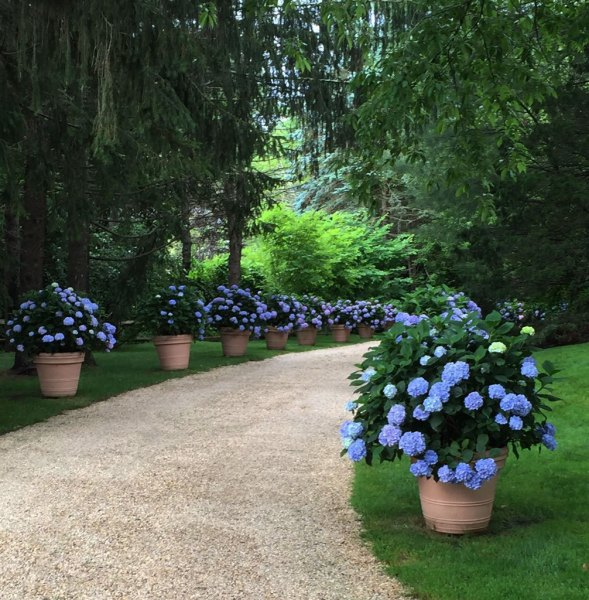landscape-design-gravel-path