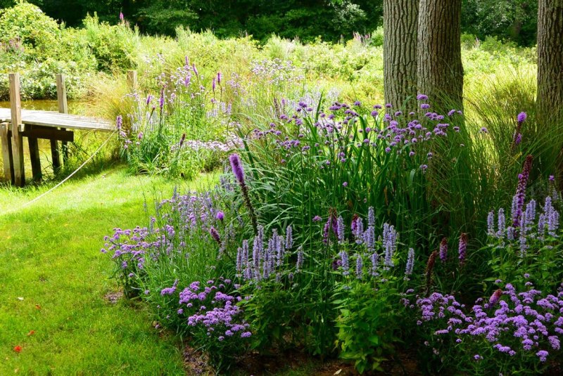 outdoor-expressions-gallery-14
