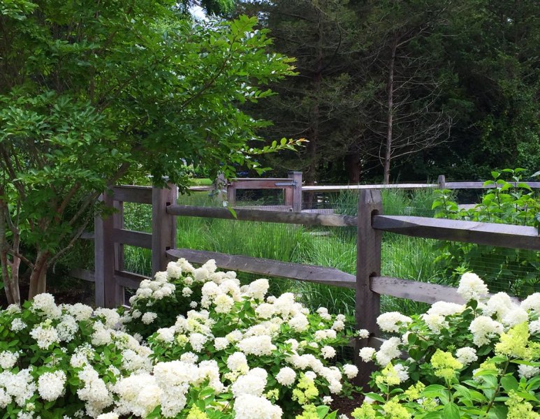 outdoor-expressions-gallery-15
