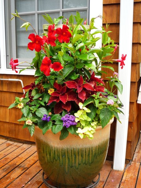 outdoor-expressions-gallery-20