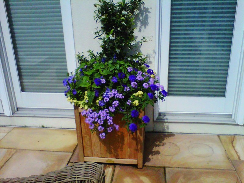 outdoor-expressions-gallery-4