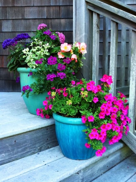 outdoor-expressions-gallery-6