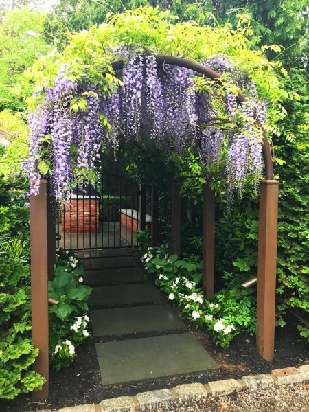 outdoor-expressions-gallery-7
