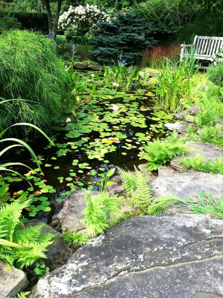 outdoor-expressions-gallery-8