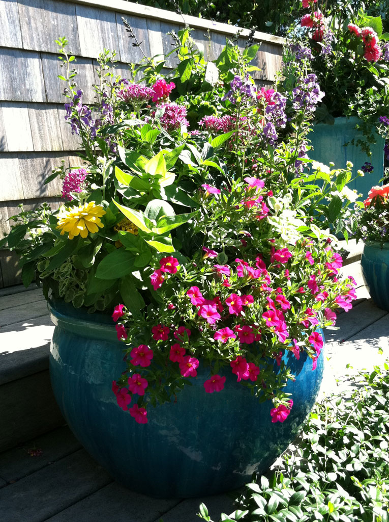 landscape-design-potted-flowers - Landscaping, The Hamptons, Long ...